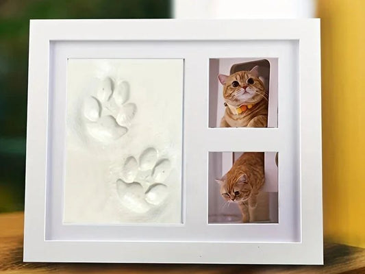 Pet Pawprint Keepsake Kit & Picture Frame
