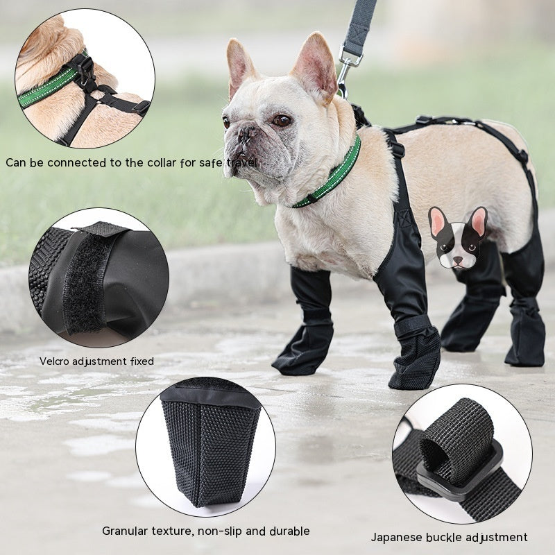 Dog in black protective suit with green collar, surrounded by close-ups of suit features.