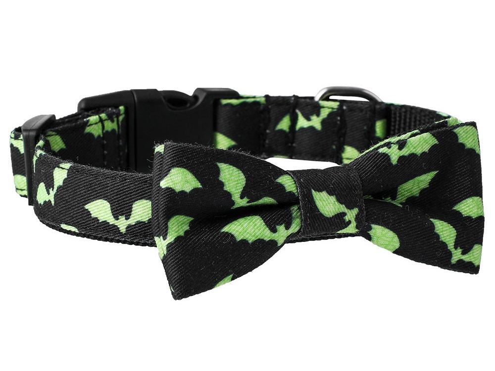 Skull Bat Accessories Pet Leash Collar
