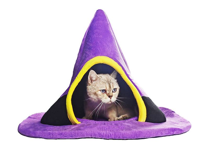 Halloween Witch Hat Cat Nest Cute Shape