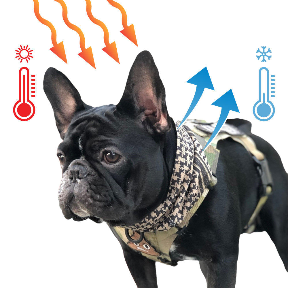 Black dog in a patterned vest with heat and cold symbols, arrows showing temperature regulation.