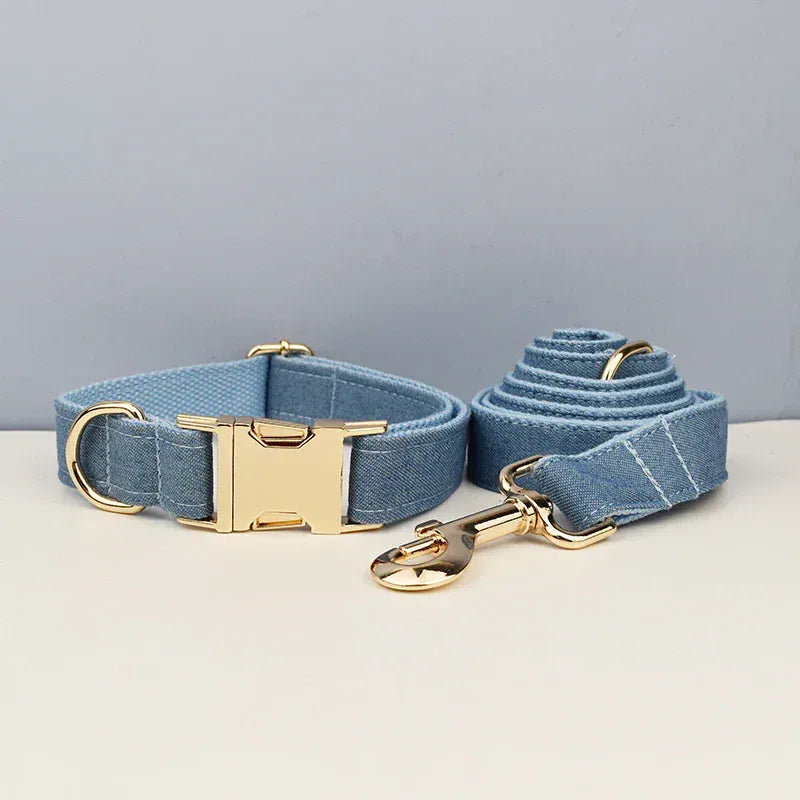 Light blue dog collar and leash set with gold hardware on a neutral background.