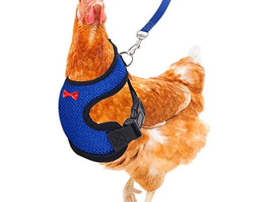 Adjustable Chicken Harness Leash Comfortable and Breathable Small Size Hen Pet Vest for Chicken Duck Goose Training Walking