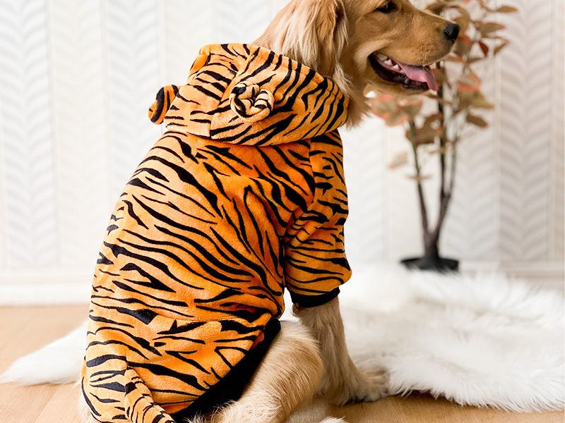 Pet Dog Golden Retriever Clothes Tiger Pet Costume