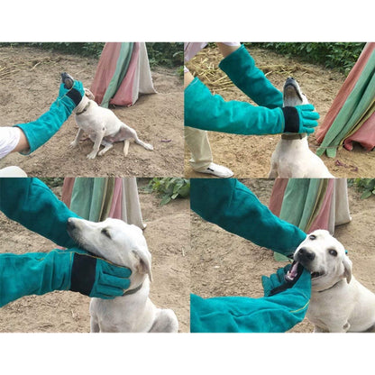 Professional Animal Handling Gloves for Protection Against Bites and Scratches - Suitable for Dogs, Cats, Birds, and Parrots (Green)