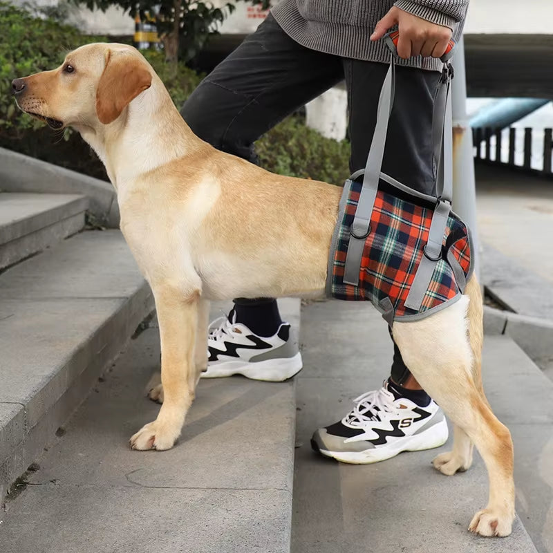 Dog Support Harness for Back & Front Legs Lift Rehabilitation Adjustable Portable for Help Weak Injured Old Disabled Dog Walking