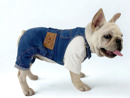 Breathable Small Pet Overalls – Lightweight Clothes for Dogs & Cats