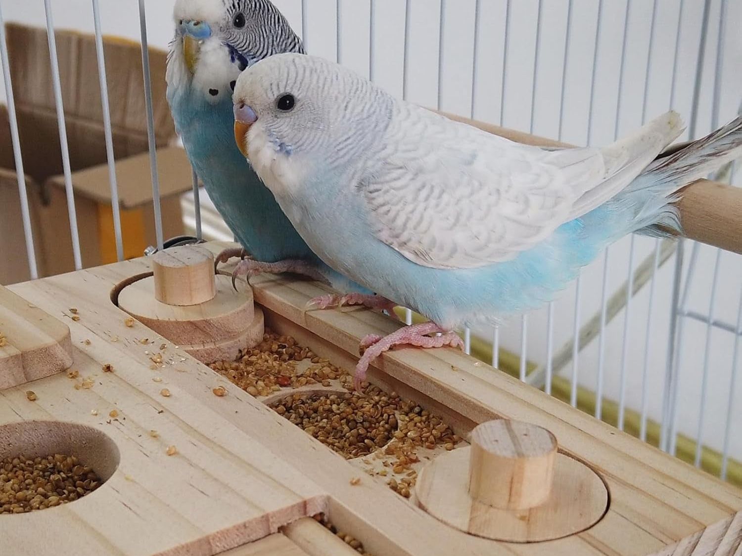 Interactive Wooden Foraging Puzzle Toy for Parrots, Parakeets, Cockatiels, and Sun Conures - Mental Enrichment and Seed Slow Feeder for Bird Cages