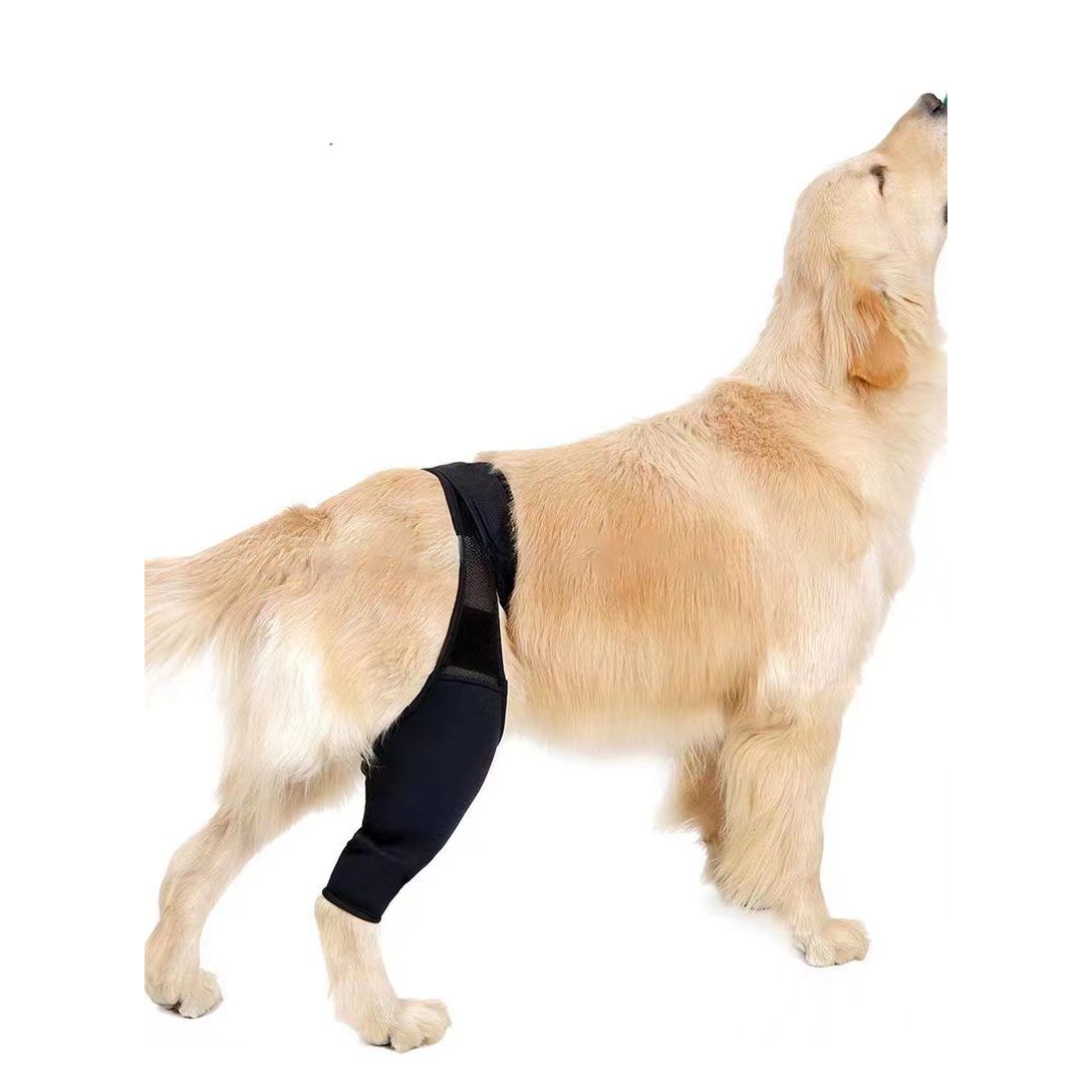 Dog Leg Support Protector, Front and Rear Leg Adjustment, Fixed Strap, Knee Brace for Injuries, Leg Protector for Dogs