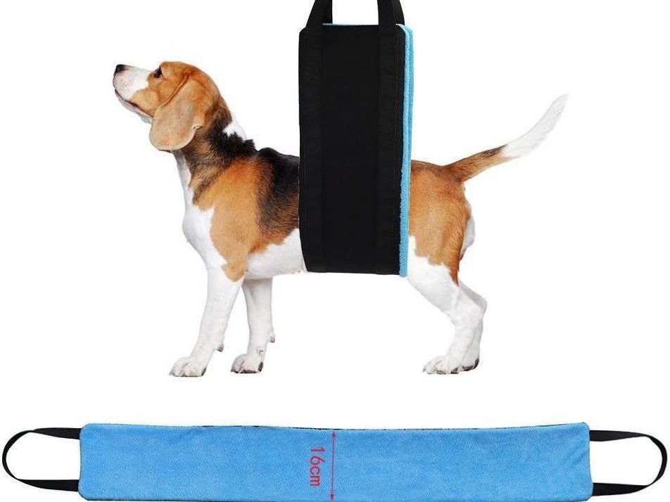 New Pet Products Dog Auxiliary Belt Pet Power