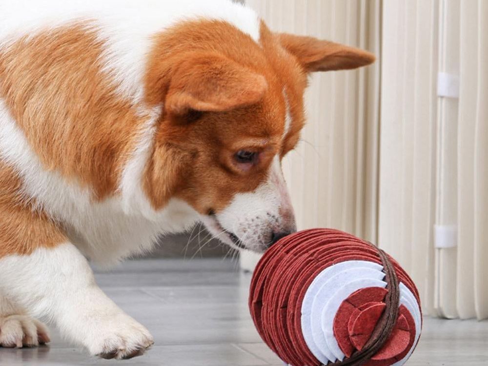 New Pet Football Plush Toy