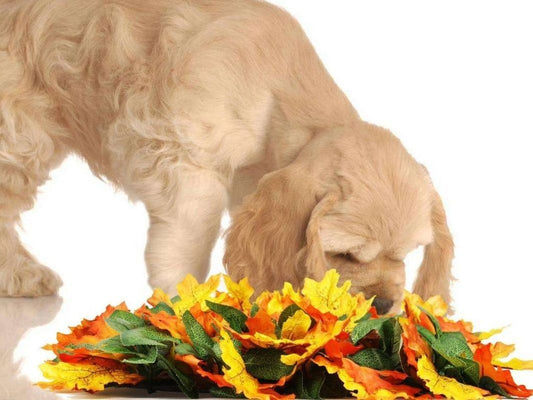 Pet Jungle Feeding Mat Washable Pet Sniffing Blanket