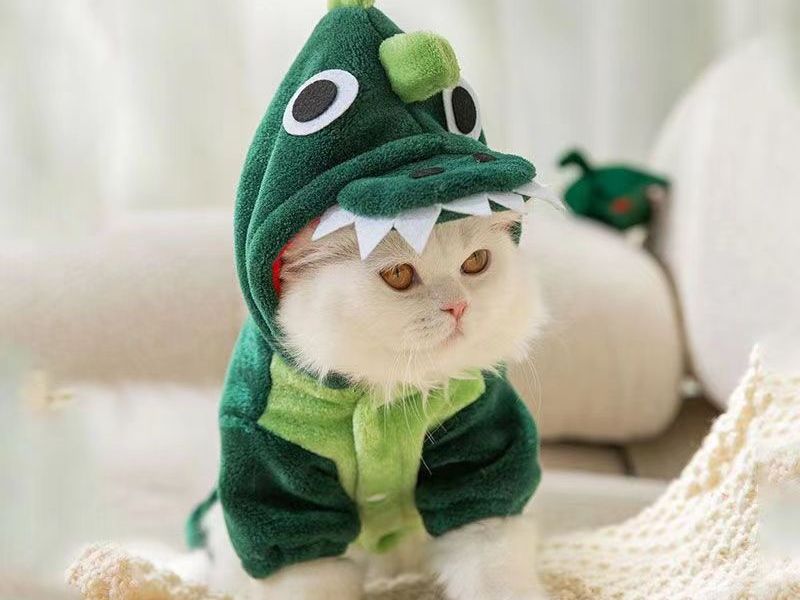 Cat Pet Clothing Anti-Lint Winter