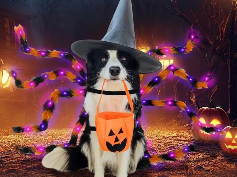 Large Dog Halloween Costume Spider Costume with LED Purple Lights Funny for Dogs Pets Clothes Puppy Outfits Cosplay Party Decor