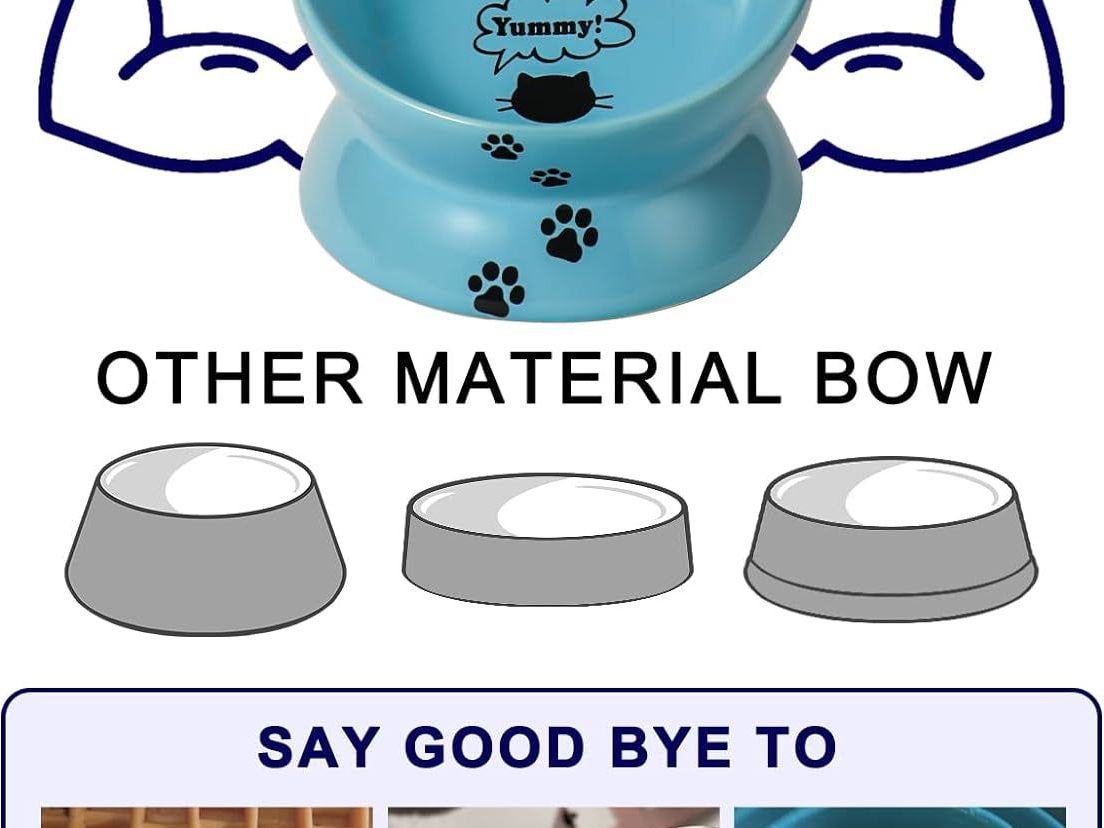 Ceramic Cat Food Bowl