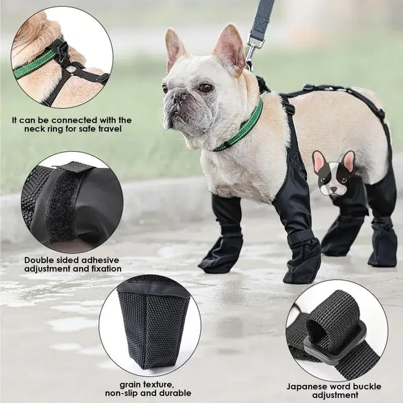 French bulldog in black protective suit with leash, surrounded by close-up details of the suit.