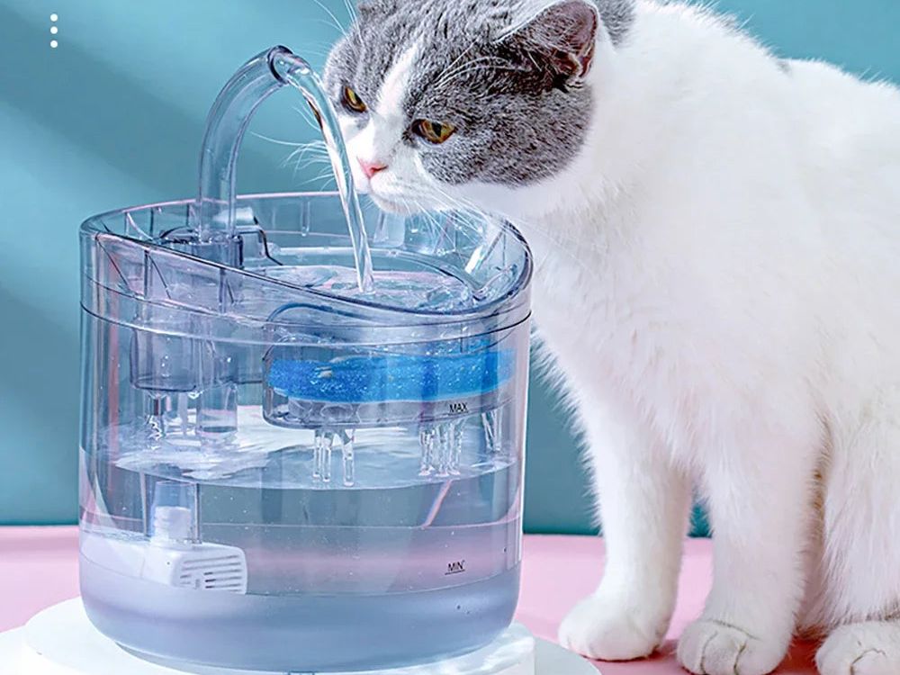 Pet Cat Water Fountain Filter Automatic Sensor Drinker Pet Feeder for Cat Dog Feeder Pet Water Dispenser Auto Drinking Fountain