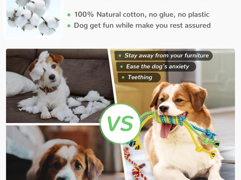 Squeaky Toys Bundle