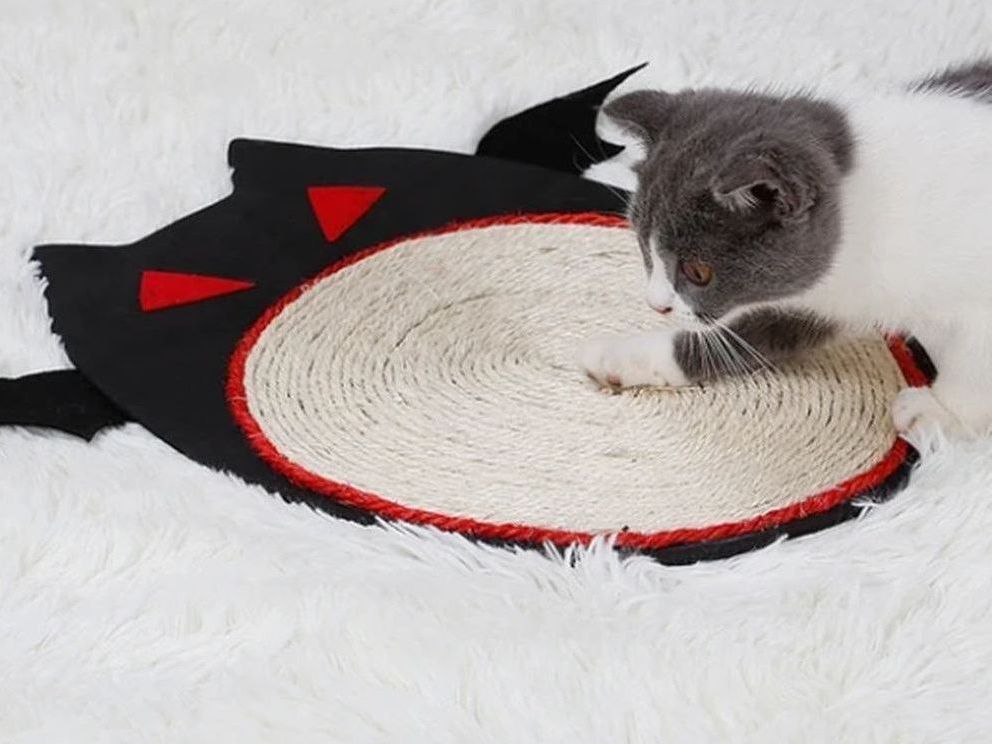 Cat Scratch Plate
