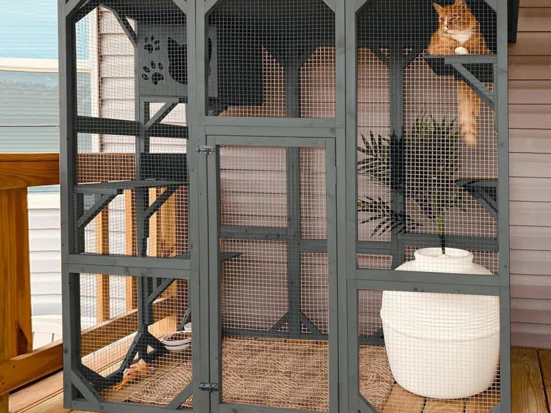 Indoor/Outdoor Large Waterproof Cat Playpen