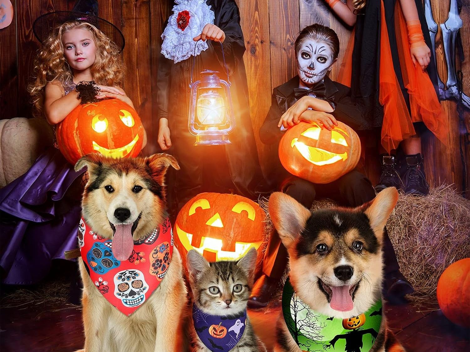 12-Pack Adjustable Halloween Bandanas for Dogs and Cats - Triangle Design Featuring Bat, Ghost, and Pumpkin Patterns - Pet Apparel Accessories