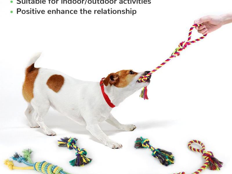 Squeaky Toys Bundle