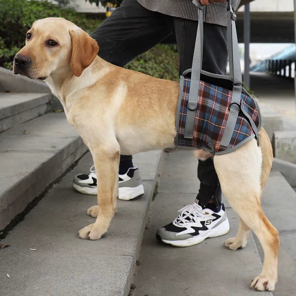Dog Support Harness for Back & Front Legs Lift Rehabilitation Adjustable Portable for Help Weak Injured Old Disabled Dog Walking