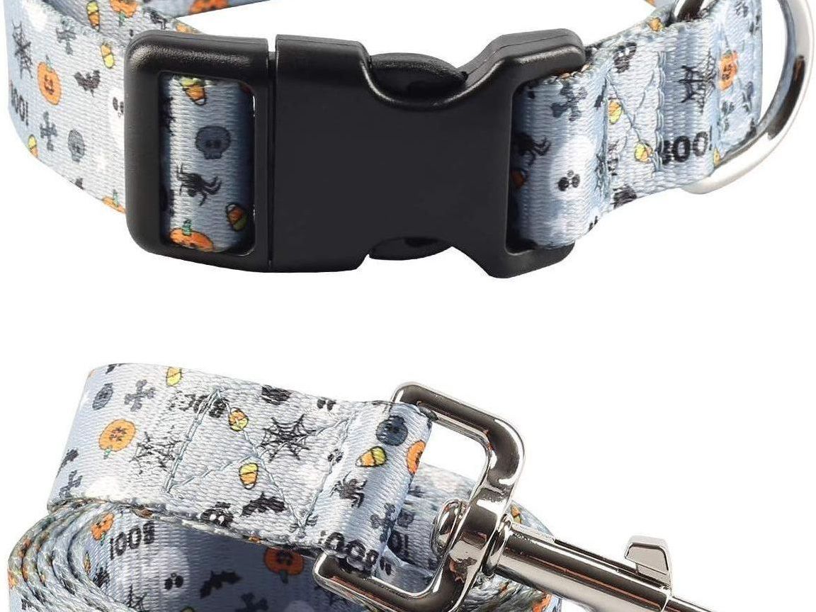 2-Piece Halloween Dog Collar and Ghost Leash Set - Adjustable and Cute Collars for Small, Medium, and Large Pets (Medium, Blue)