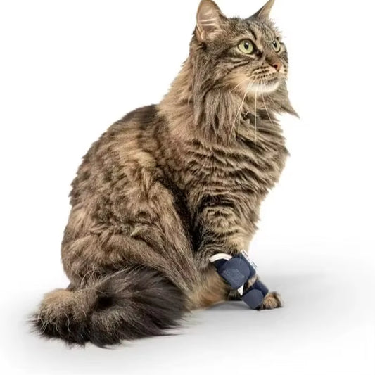 Splint Carpal Hyperextension Dog Brace ,Supports Fractures Sprains, Front Leg Support (Small Breeds) Ankle Splint Brace