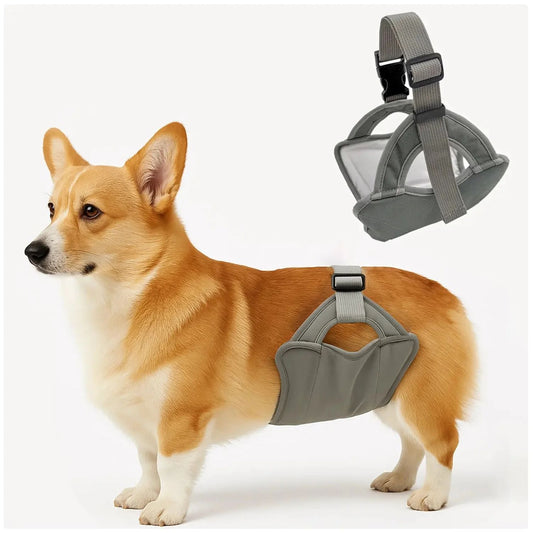 Comfort - First Dog Diaper: Prioritizing Your Pet'S Well - Being