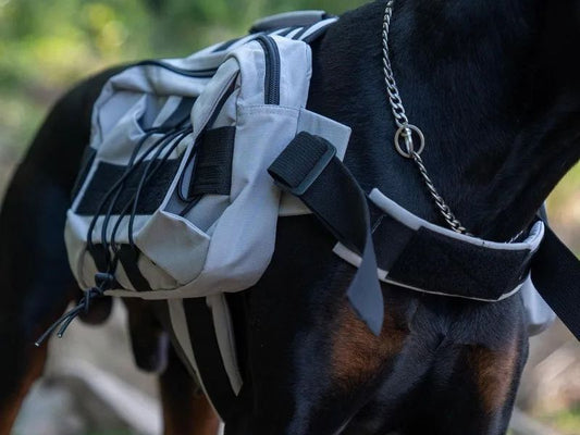 Ultimate Tactical Vest Harness for Large Dogs - Reflective, All-Season Comfort with Quick Release Closure