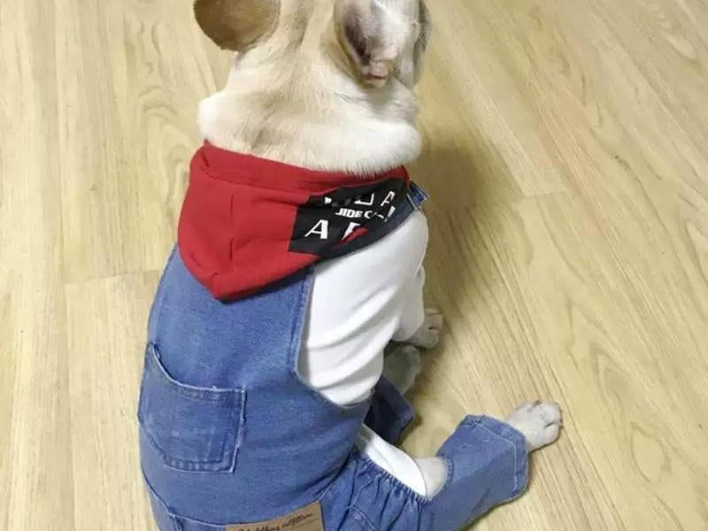 Breathable Pet Overalls for Cats and Dogs