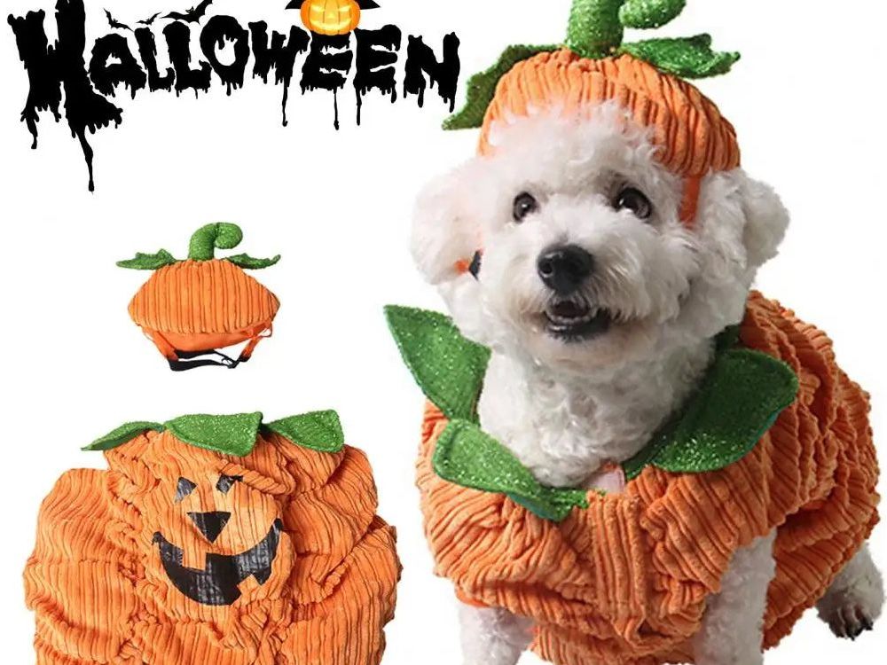 Pet Suit with Ear Hole Design Corduroy Fabric Pet Suit Adorable Halloween Pet Costumes for Small Dogs Cats Pumpkin for Funny
