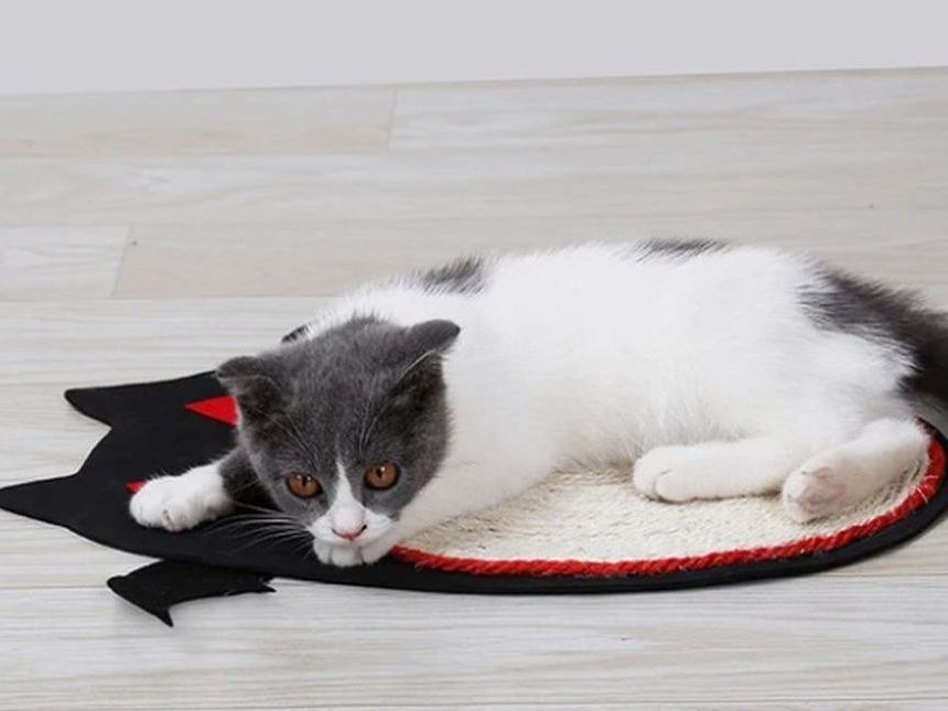Cat Scratch Plate