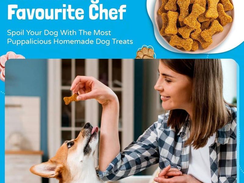Homemade Dog Treat Kit - DIY Dog Treat Baking Kit W/Molds, Cutters, Recipes & Gift Bags - Bake Fresh, Healthy Organic Training Treats for Dogs at Home