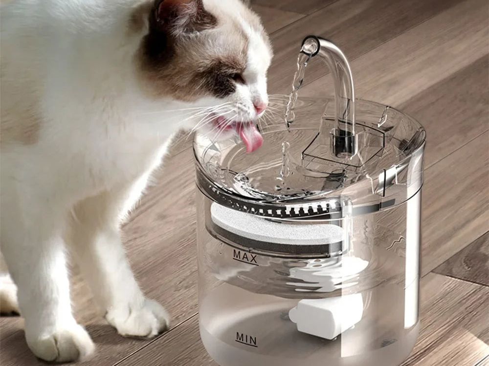 Pet Cat Water Fountain Filter Automatic Sensor Drinker Pet Feeder for Cat Dog Feeder Pet Water Dispenser Auto Drinking Fountain