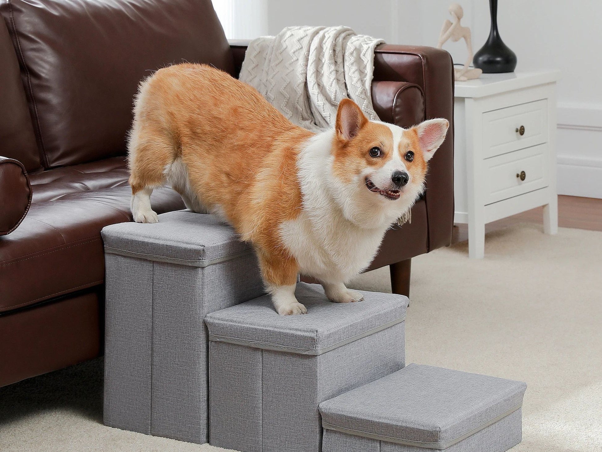 3-Tier Dog Stairs Foldable Pet Stair with Storage Box Adjustable Height Dog Steps for Small Old Dog Cat Non-Slip Pet Ramp Indoor