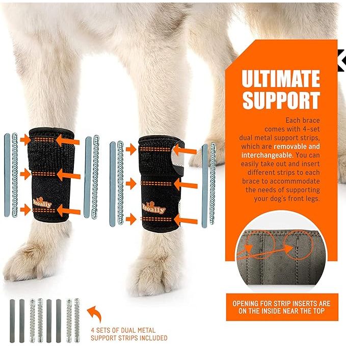 Dog wearing black leg braces with orange stitching and metal support strips, text highlights support.