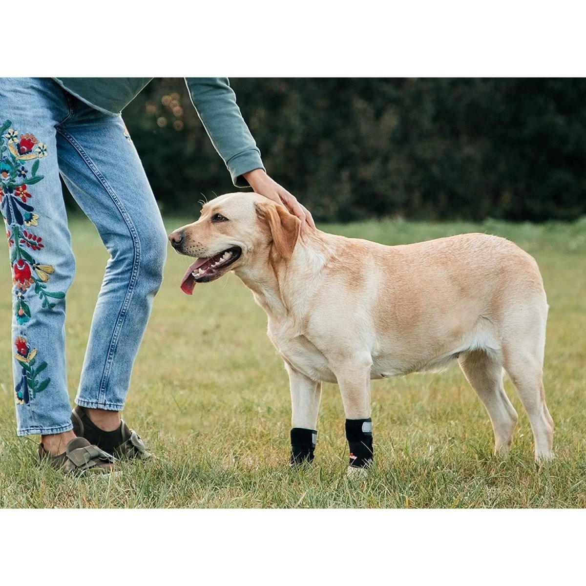 Person in jeans with floral embroidery petting a yellow dog wearing black leg braces on grass.