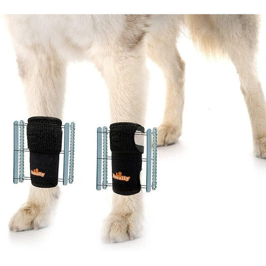 Dog wearing black leg braces with orange logo, standing on a white background.
