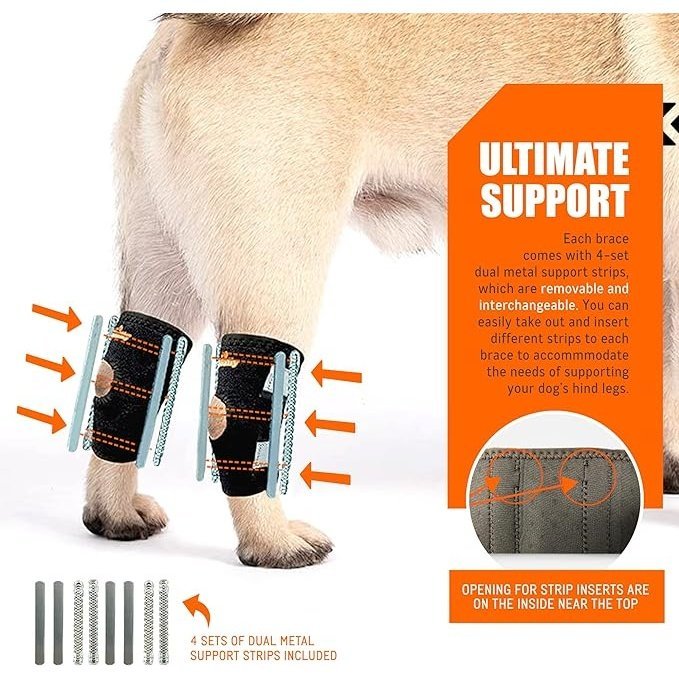 Dog wearing black braces with orange stitching on hind legs, featuring metal support strips.