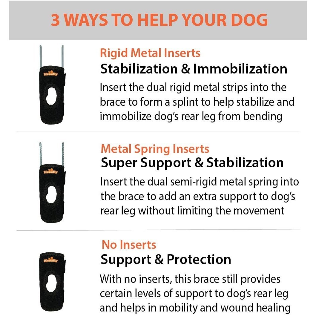"Infographic showing three dog brace options: rigid, spring, and no inserts for leg support."