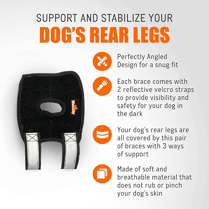 Black dog leg brace with reflective straps, orange icons, and text highlighting features.
