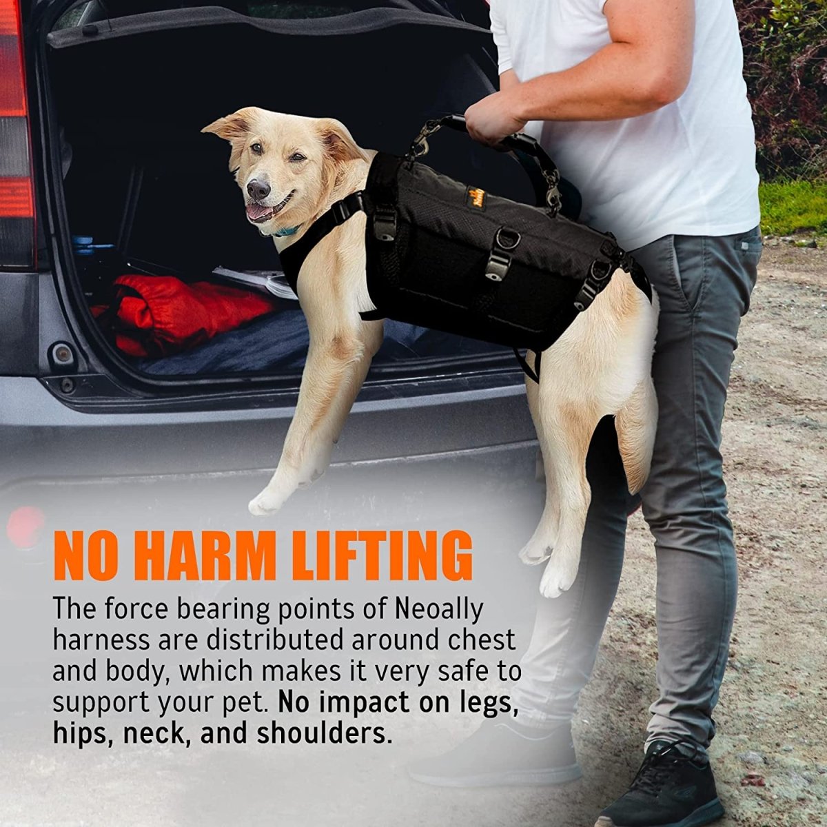 Dog in black harness being lifted by a person near a car trunk, text reads "No Harm Lifting."