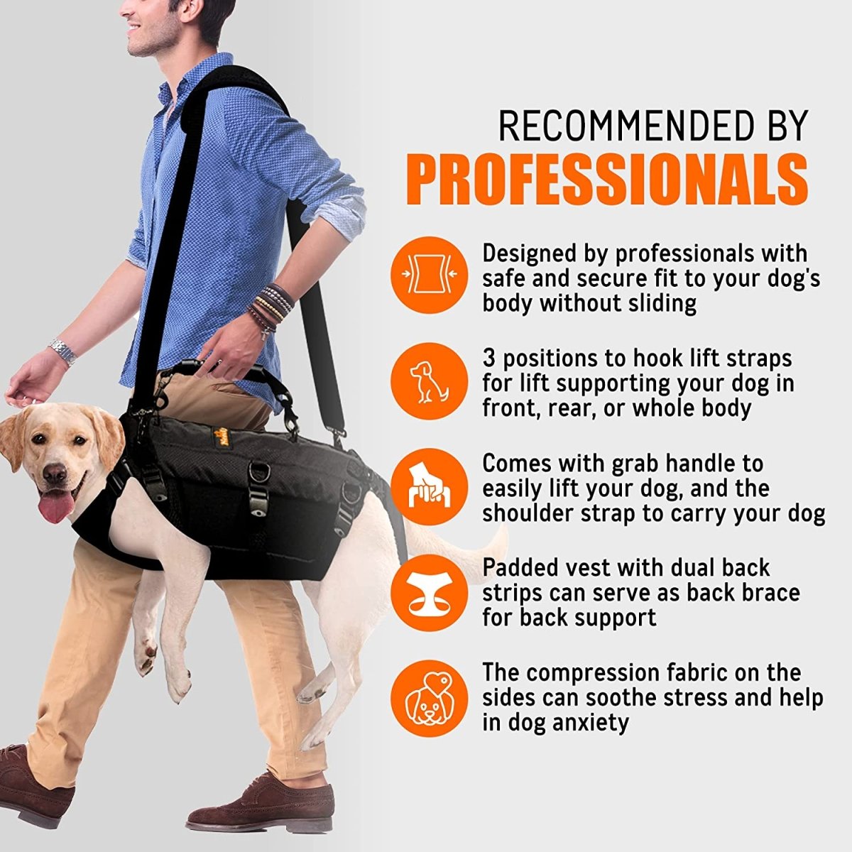 Man carrying a dog in a black harness with straps; text highlights harness features.