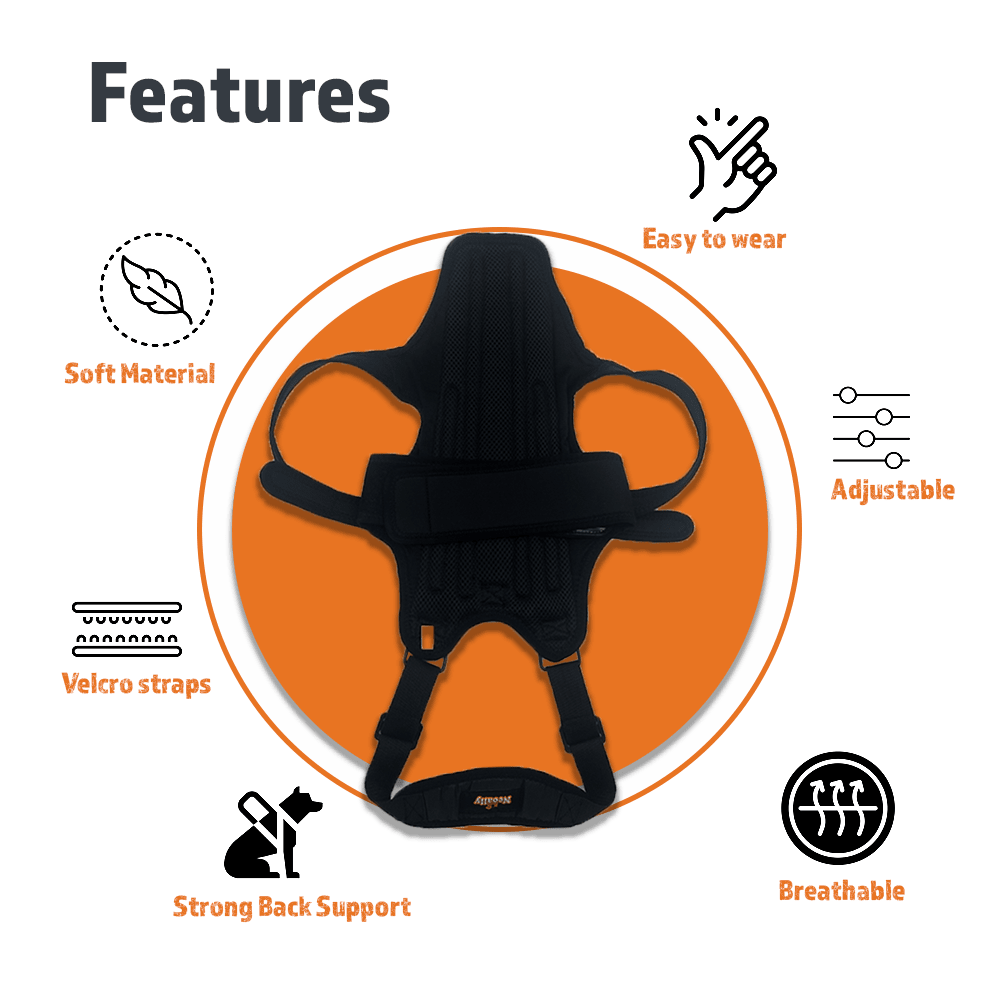 Black back support with straps on orange circle, featuring icons for soft, adjustable, and breathable.