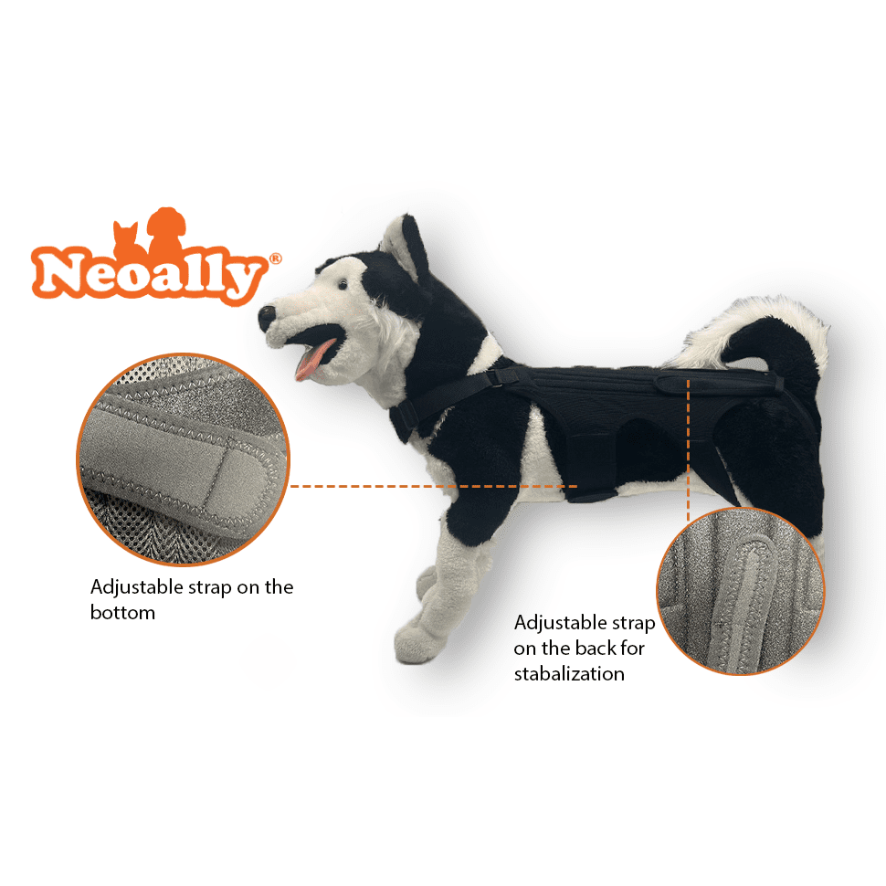 Black and white dog model wearing a black harness with adjustable straps, Neoally logo above.
