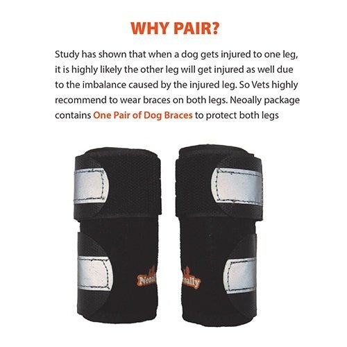 Two black dog braces with white straps and orange text, against a white background.