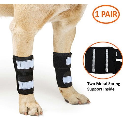 Dog wearing black leg braces with white straps; inset shows metal springs inside.