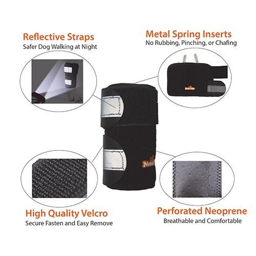 Black dog brace with reflective straps, metal inserts, Velcro, and perforated neoprene details.